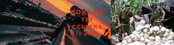 mix Верея