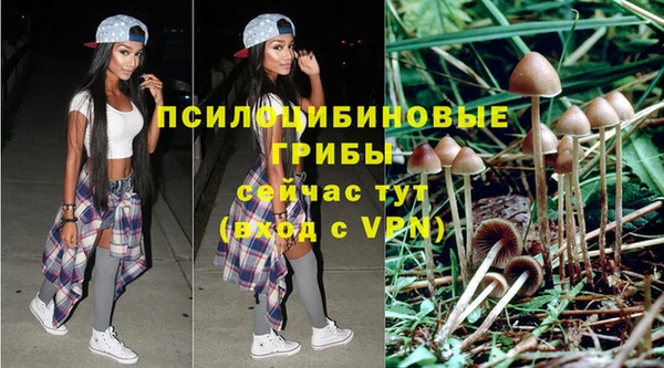 трава Верхнеуральск