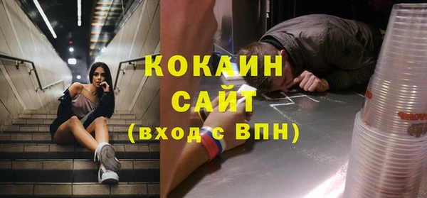 СК Сафоново