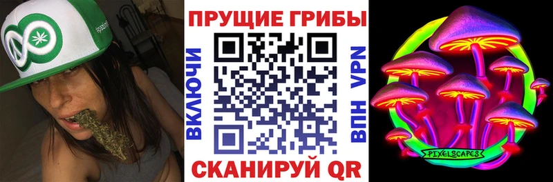 Галлюциногенные грибы Cubensis  Людиново 